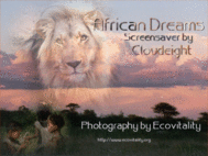 African Dreams Screensaver screenshot